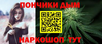 крисы Кингисепп